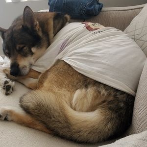 Meet your Posher, Elton